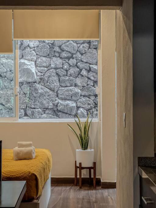 Apartment Loft Piedra Cantera Morelia
